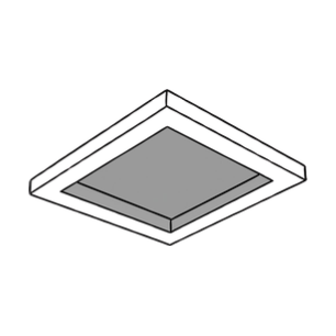 Tray Ceiling in Primary Bedroom